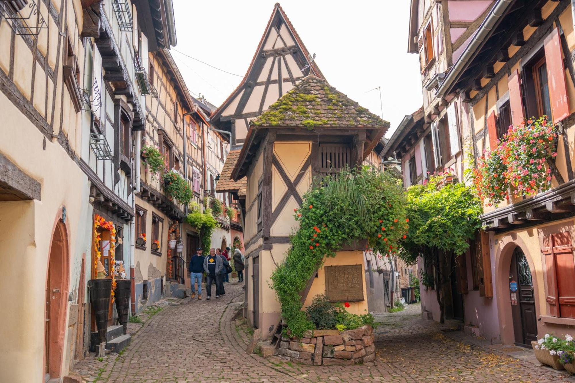 Chambre Rose Des Vents Eguisheim Luaran gambar